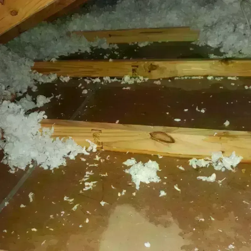 Attic Water Damage in Unadilla, GA